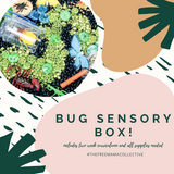 Bug Sensory Box