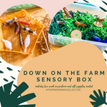 Down On The Farm Sensory Box
